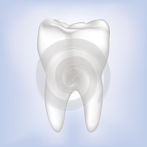 Tooth Vector illustration. Isolated.