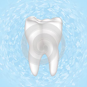 Tooth Vector illustration. Isolated.