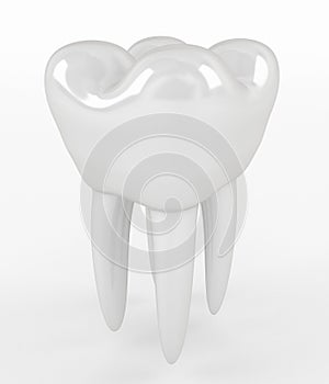 Tooth on a white background