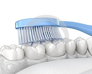 Toothbrush cleaning teeth, Isolated on white. Medically accurate 3D illustration of oral hygiene