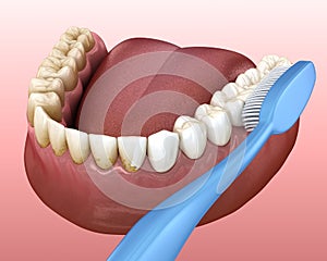 Toothbrush cleaning teeth. Medically accurate 3D illustration of oral hygiene