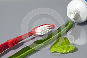 Toothbrush and open tube of toothpaste with green leaves