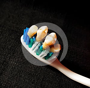 Toothbrush with teeth conceptual image