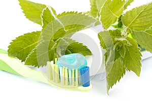 Toothbrush, toothpaste and fresh leaves of mint