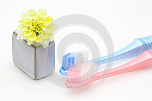 Toothbrush in a white background