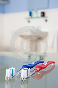 Toothbrushes in bathroom