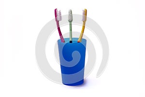 Toothbrushes in a color holder