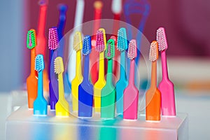 Toothbrushes of different colors