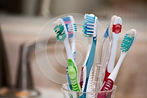 Toothbrushes for the Family photo