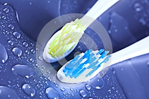 Toothbrushes on water drops