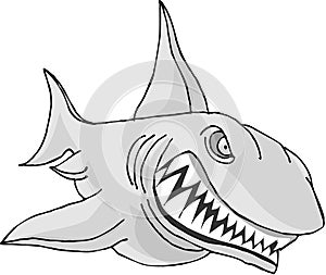 Toothy Shark