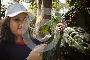 Toothy smiling face of younger asian teen woman harvesting fresh arabica coffee seed in coffee plantation