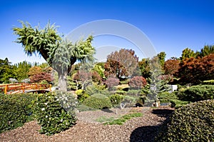 Toowoomba Japanese Garden - Ju Raku En