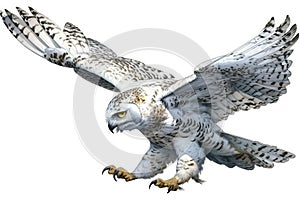 Top 20 Snowy owl action, Watercolor predator animals wildlife.