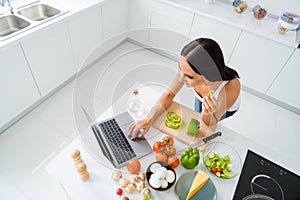 Top above high angle photo of positive cheerful housewife want prepare feast supper use her laptop search veggie organic