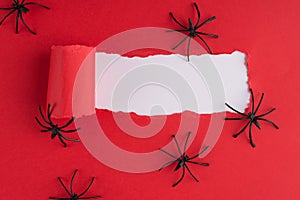 Top above overhead view photo of torn red paper over white background with decorative spiders