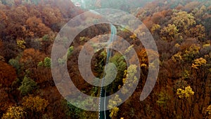 Top aerial view of empty forest road with autumn colors. Aerial view of curvy road in autumn forest