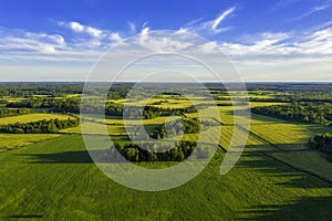 Top aerial view of green fields and meadows in summer. Abstract landscape with lines of fields, grass, trees, sunny sky and lush