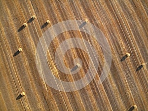 Top aerial view of round bales of straw on the field after harvest