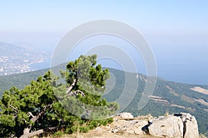 On top of AI-Petri mountain, view of Yalta coast, Crimea.