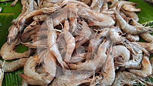 Top angle view of fresh shrimps sold at the market. Shrimps used for many tipe of cooking