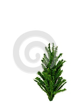 Top of artificial Christmas tree on white background