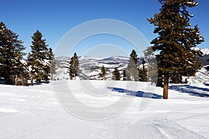 On top of the beginners ski slop with pristine views and beautiful condition for skiing.