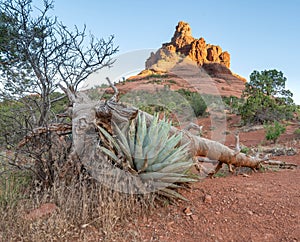 Top of Bell Rock in Sedona, AZ