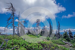 On Top of Black Butte