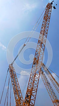 Top boom of crawler crane rise to the sky