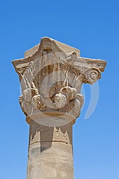 Top of carved graeco-roman column at ancient egyptian temple