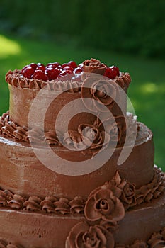 Top of chocholate wedding cake
