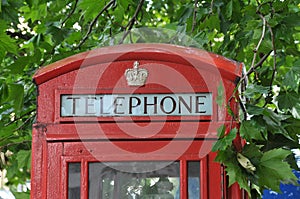 The top of a classical British red telephone booth surrounded by green maple leaves