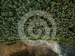 ..Top down aerial drone view over forest and lake