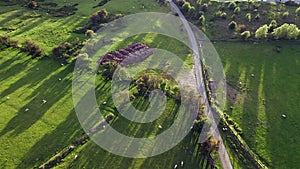 Top Down Aerial Shoot of Scenic Farming Fields at Sunset