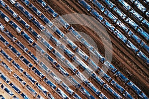 Top down aerial shot of watermelon plantation with plastic sheeting hothouse equipment