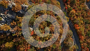 Top Down Aerial View of Autumn Forest with Road, Vallouise-Pelvoux, France