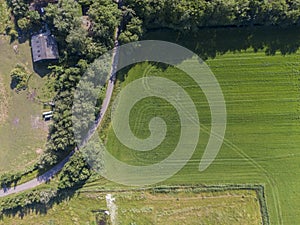 Top down aerial view of cultivated green field with tractor tracks and curved road