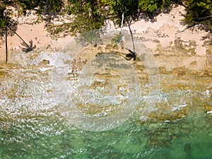 Top down aerial view of a deserted tropical beach fringed by palm trees (Khao Lak, Thailand