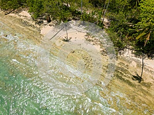 Top down aerial view of a deserted tropical beach fringed by palm trees (Khao Lak, Thailand