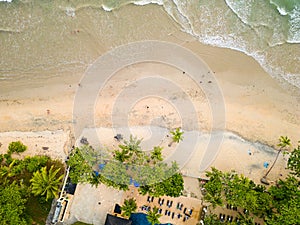 Top down aerial view of a deserted tropical beach fringed by palm trees (Khao Lak, Thailand