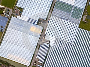 Top down Aerial view of huge Greenhouse horticulture area photo