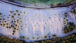 Top down aerial view panning over tropical coconut palms on white sand beach in late afternoon shade on island in the