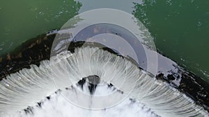 Top Down Aerial View of Waterfall Under Krupajsko Vrelo Springs, Serbia