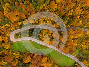 TOP DOWN: Flying above a switchback road crossing the autumn colored forest