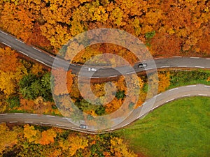 TOP DOWN: Flying above tourist cars driving down road crossing a colorful forest