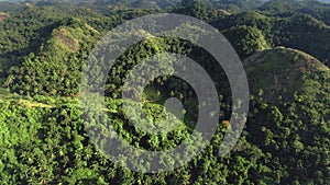 Top down jungle hill ranges aerial view with high trees, plants, grass. Wildlife nobody nature shot