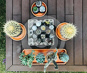 The top-down of many types of diamond flower pots, laid on the wooden floor of the balcony