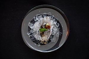 Top Down Shot of Creative Plate of Oyster One Ice