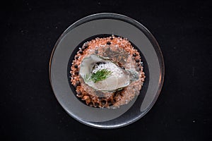 Top Down Shot of Oyster on Himalayan Salt